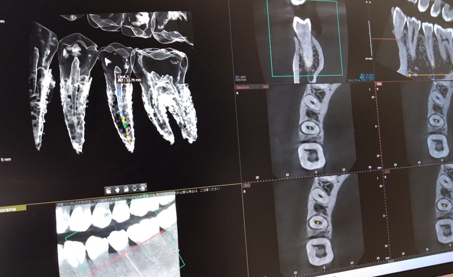 d4e90773-b7a6-43fd-b7b2-e15c40a6e2e9~1